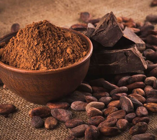 Cacao en Polvo 100%