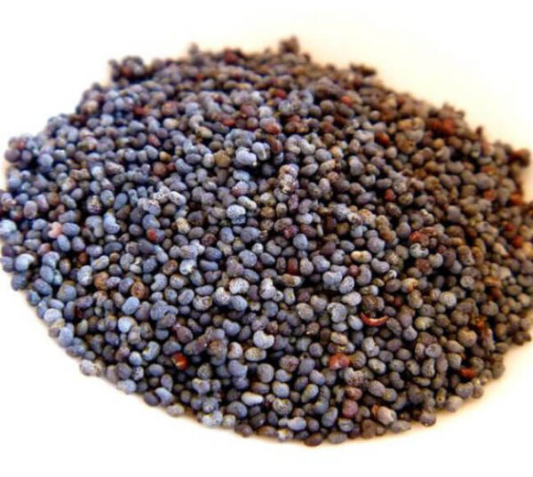 semilla de amapola en grano de color azul oscuro
