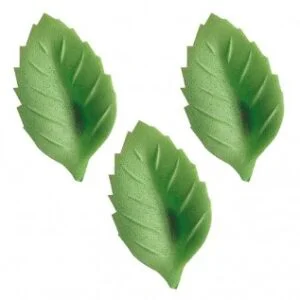 Hojas Verdes Oblea 1000uds
