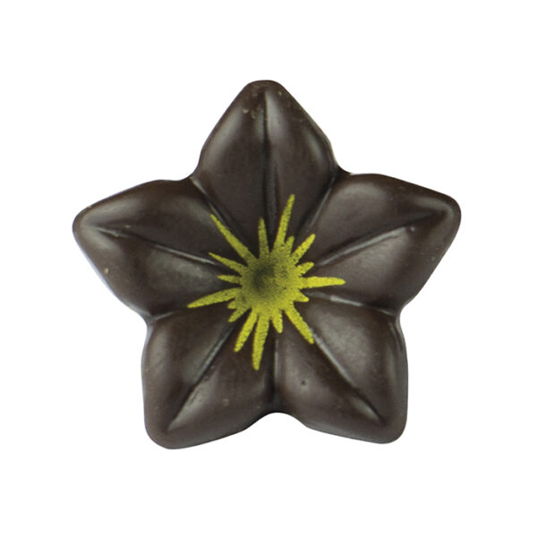 Jazmín Oro de Chocolate negro para decoración
