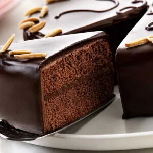 Preparado para Bizcocho de Chocolate 15Kg