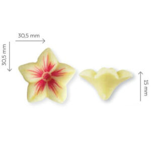 Jazmín Bloom de Chocolate 76uds